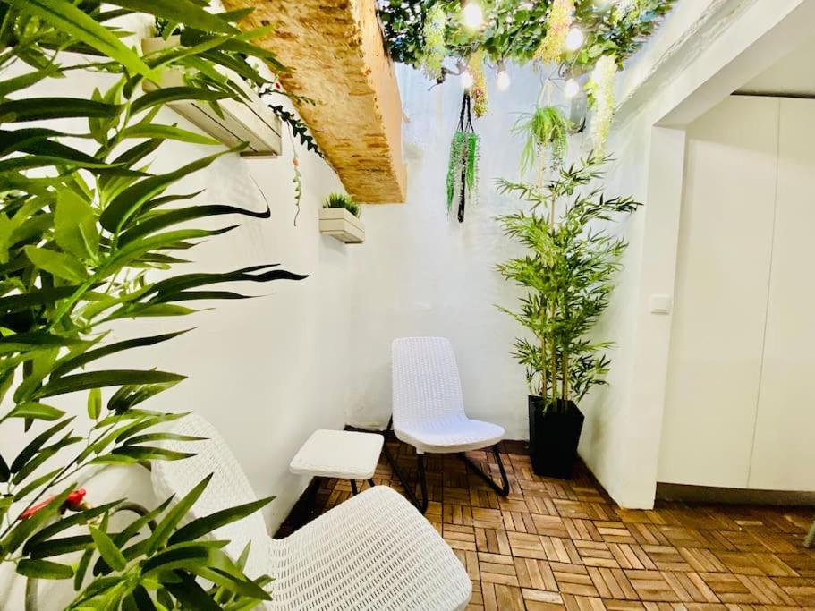 Apartamento Amalia 21 - Lisboa